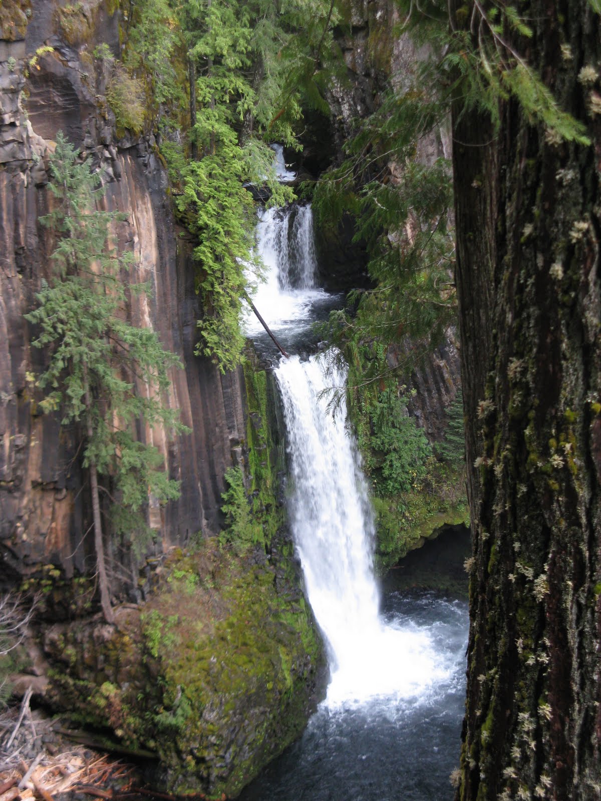 From Roseburg To Crater Lake: Breathtaking Scenery Awaits - 7efxhkc