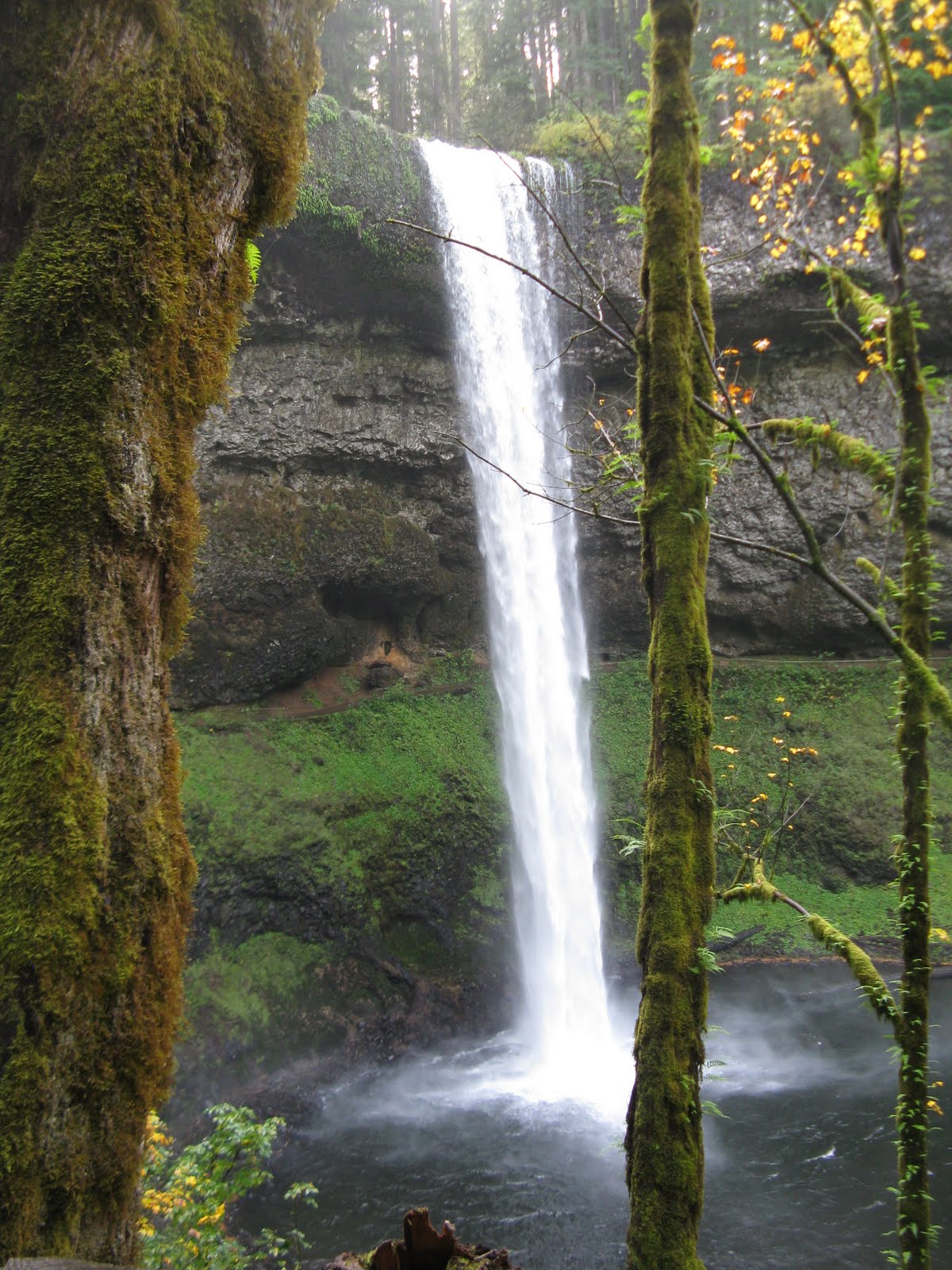 Silverton State Park Oregon Driving Directions From Enid, Oklahoma To