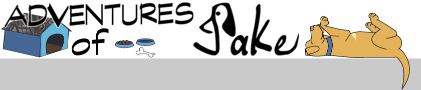 Adventures of Jake