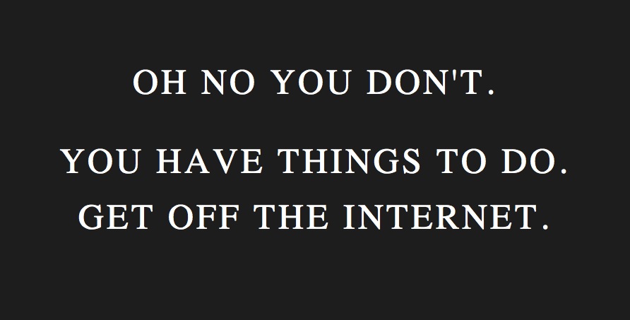 [Image: oh+no+you+don%27t+get+off+the+internet.JPG]
