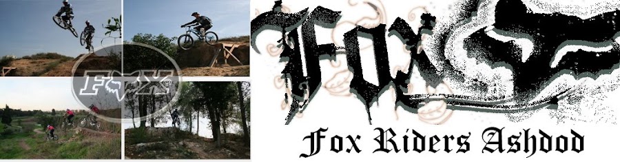 בלוג השועלים