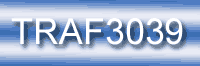  TRAF3039, Fleeing and Eluding, 316.1935.1, FLEEING AND ATTEMPTING TO ELUDE A POLICE OFFIC, 