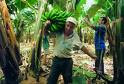 Producción agrícola
