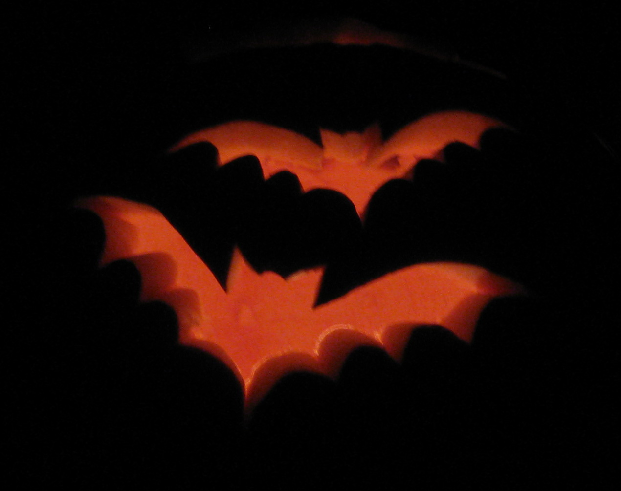 [BatsCropped.png]