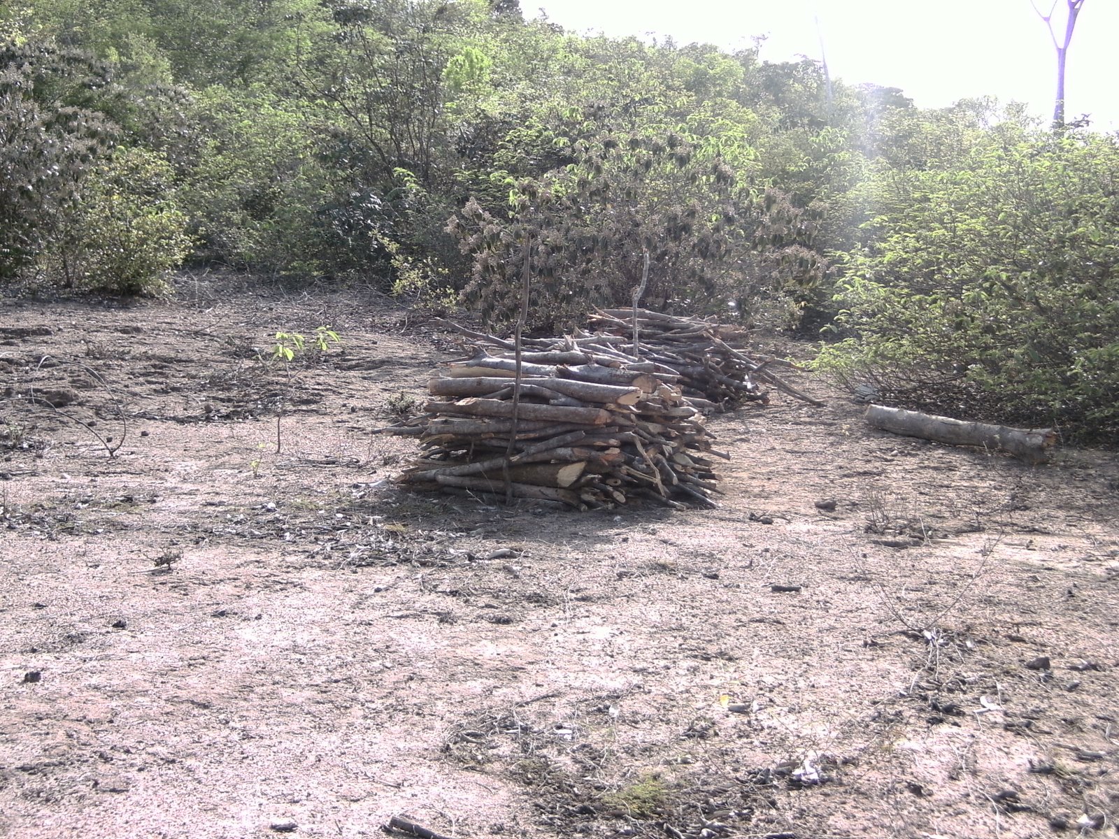 [PICT1059.JPG]