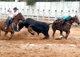 [vaquejada_marcelo.jpg]