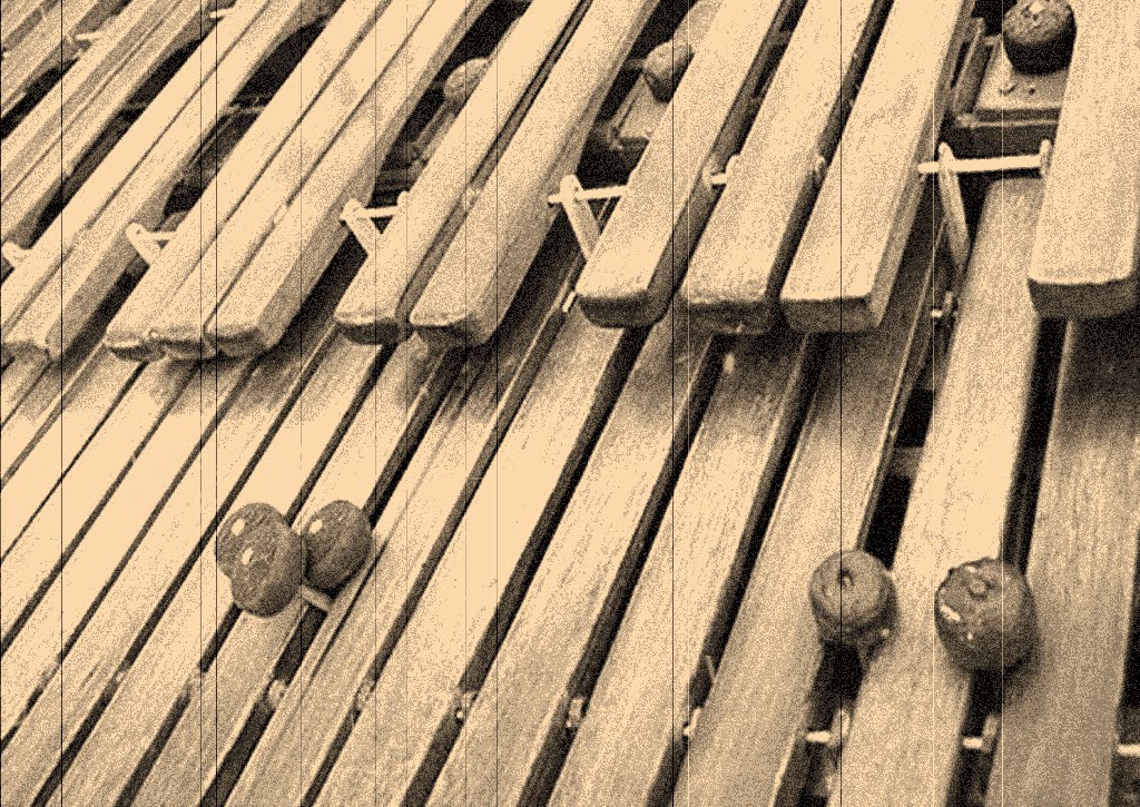 CONAPACI Foro " Construcción de Marimbas en Costa Rica un oficio en