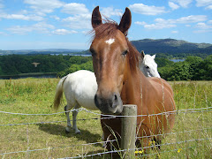 The Secret Class: The Shocking Truth About Your Shampoo