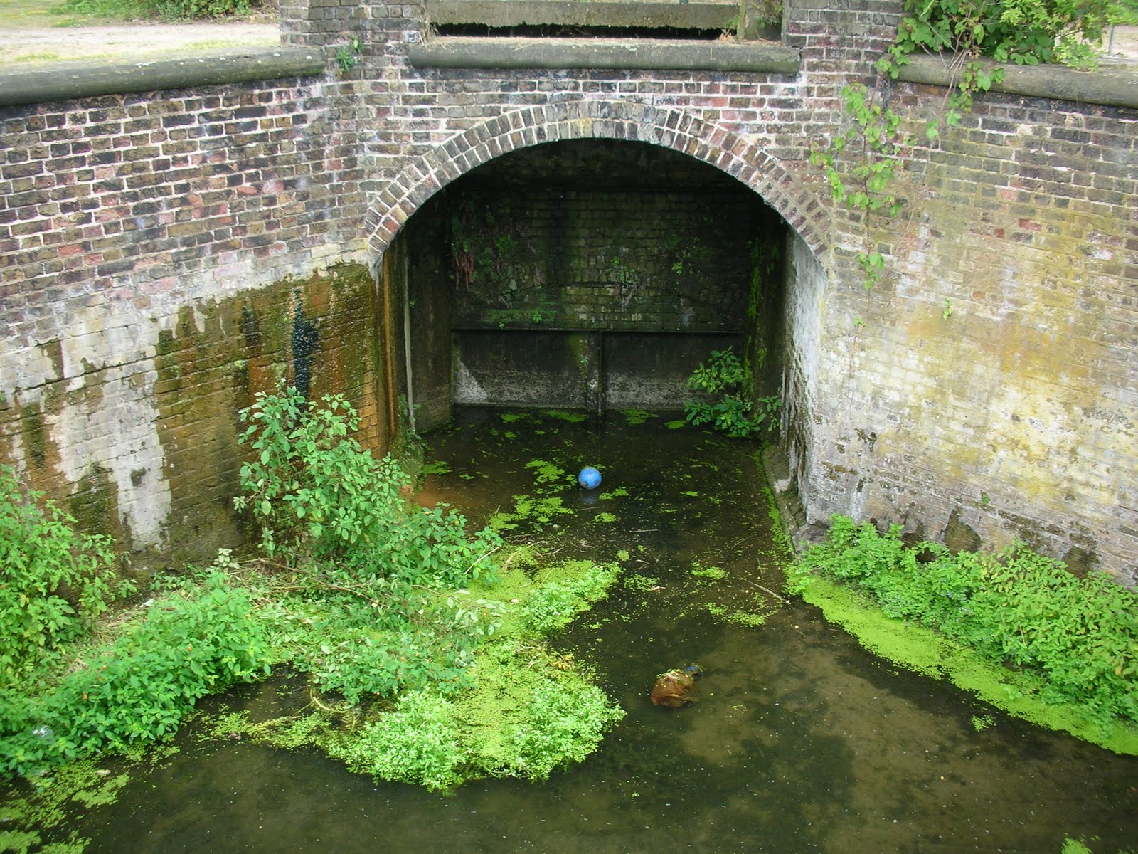 rivercities Walthamstow reservoirs, Middlesex filter beds, July 2010