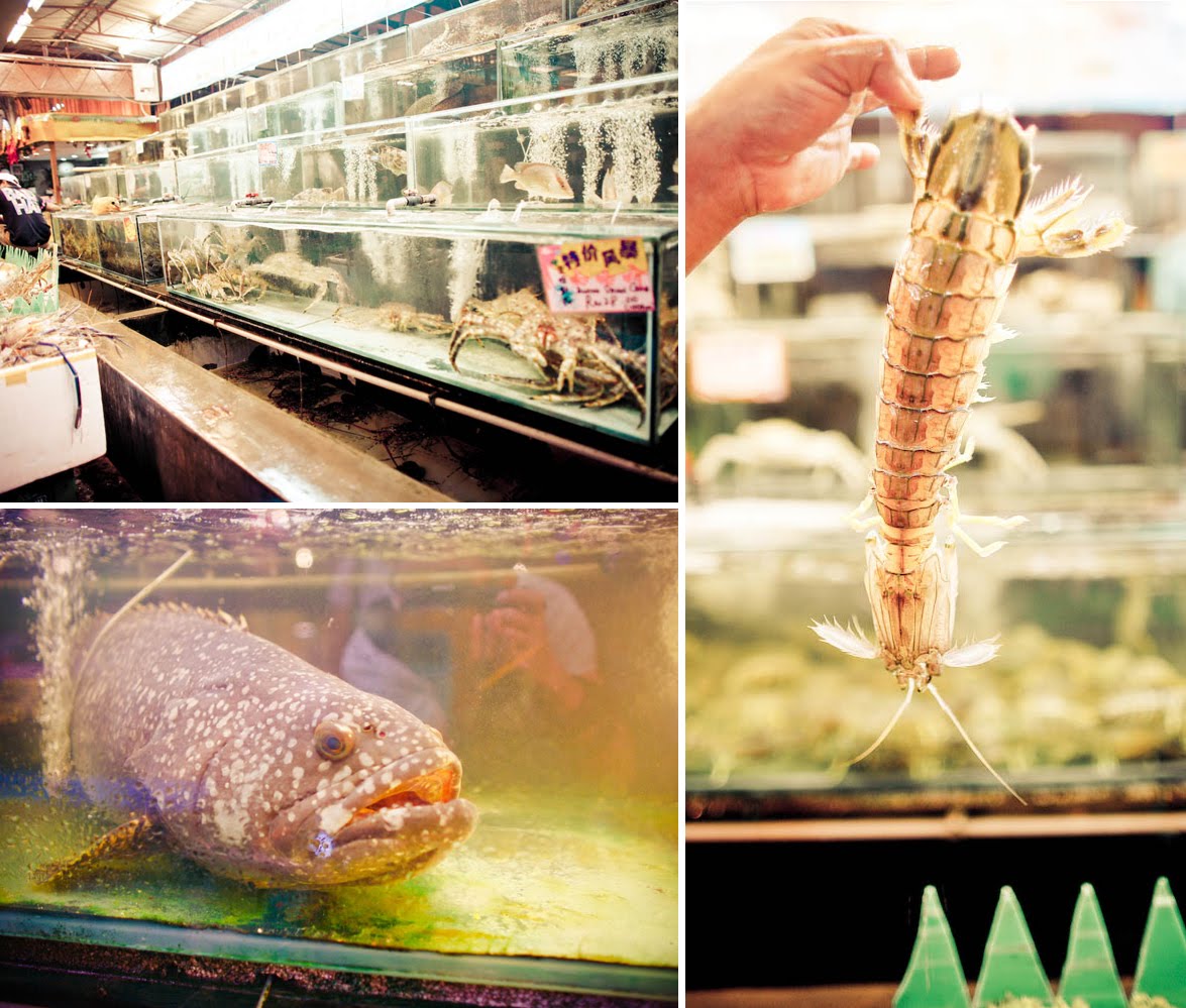 Bali Hai, Penang, Malaysia