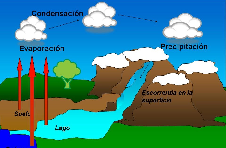 Ciclo Del Agua Evaporacion Condensacion Precipitacion