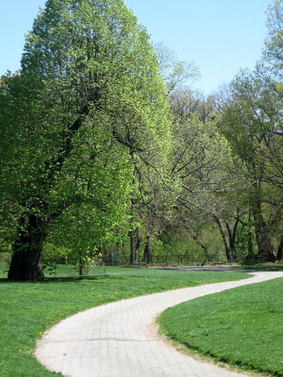 Prospect park brooklyn avis