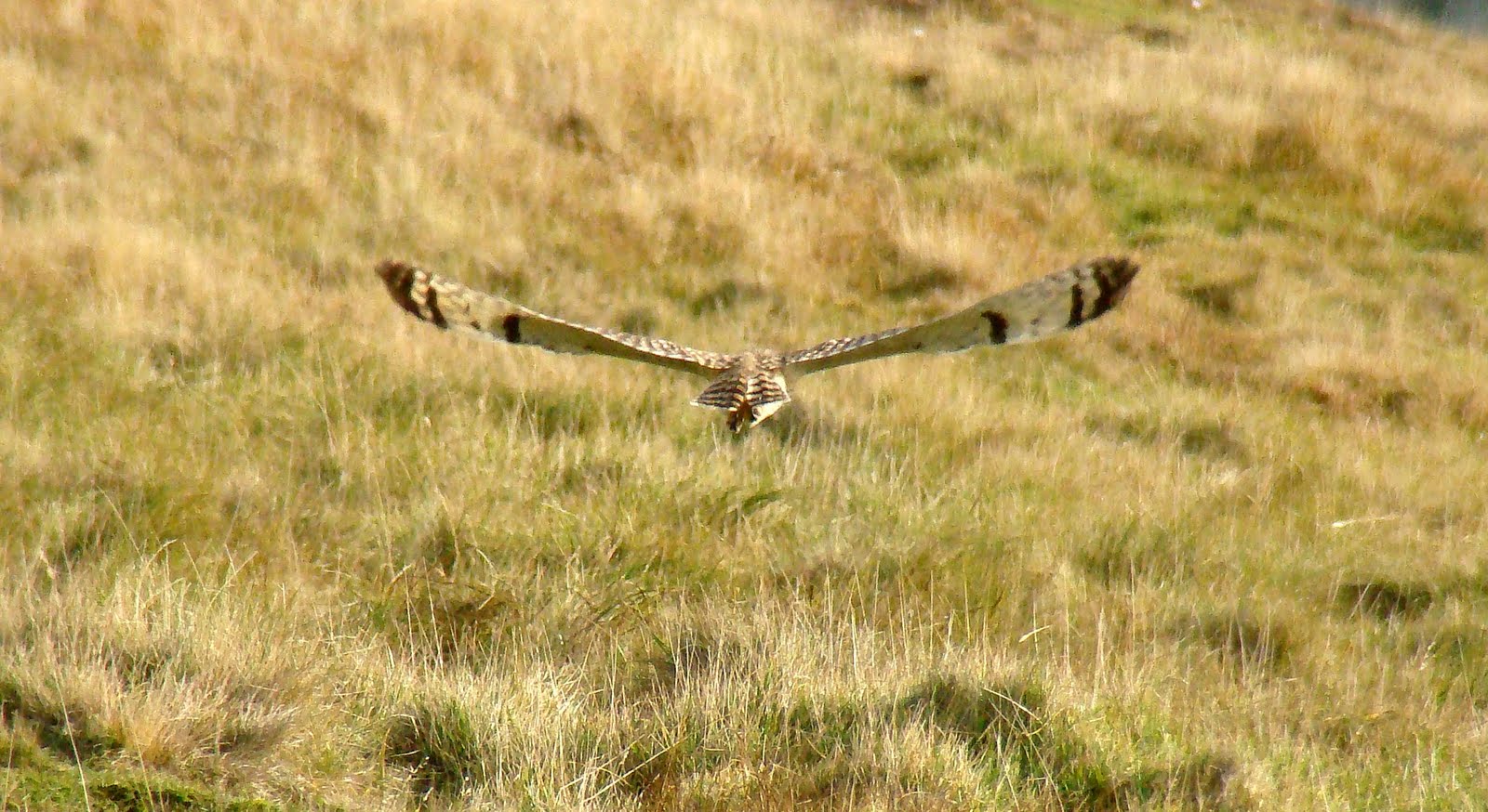 [SEO+flight.jpg]