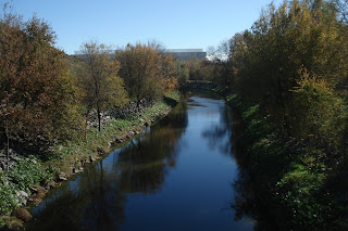 ¿Donde están los patos del Manzanares?