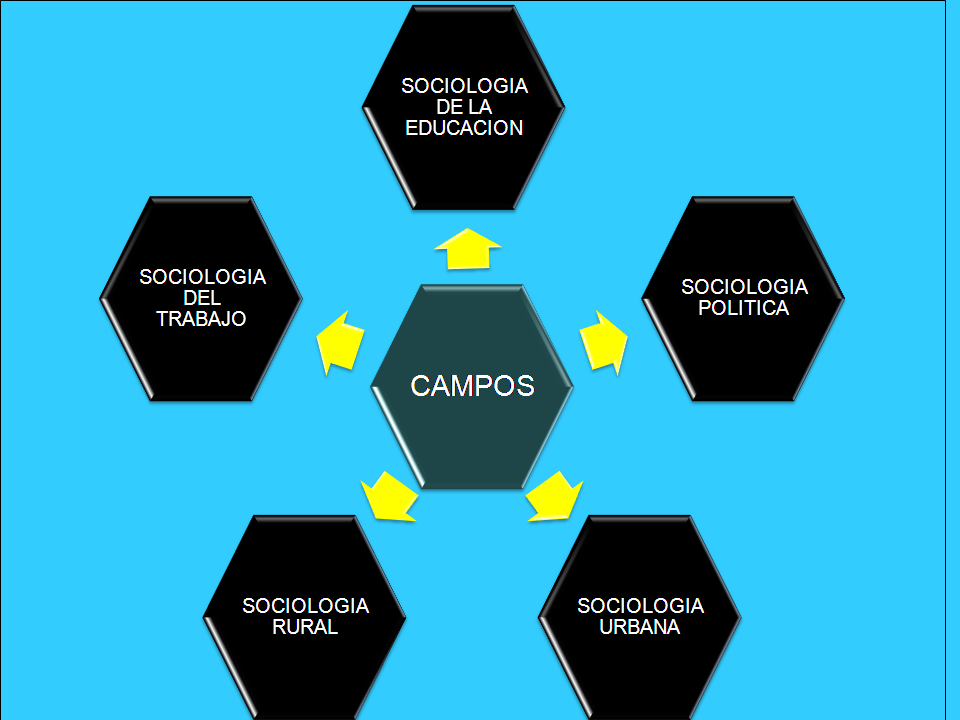 TEORÍA SOCIOLÓGICA: CAMPOS DE LA SOCIOLOGIA