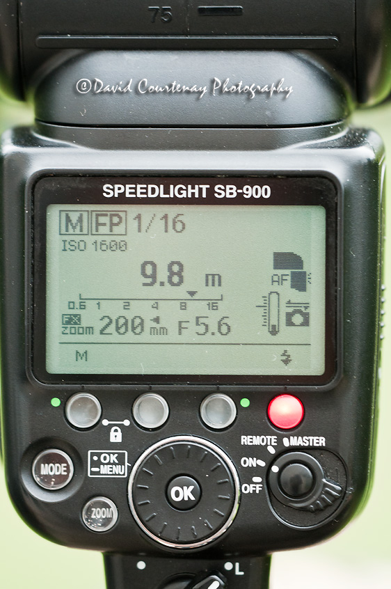 Wildlife Photography across the Water Manual Flash