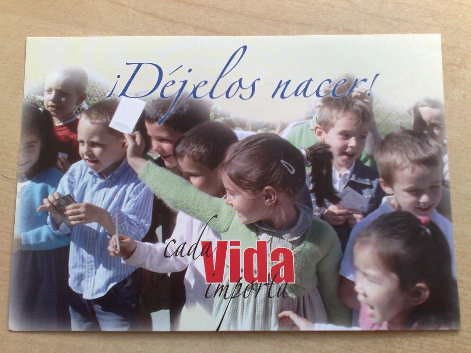 [Imagen461.jpg]