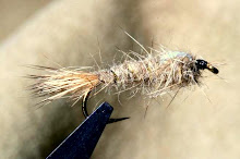 Imágenes integradas 10