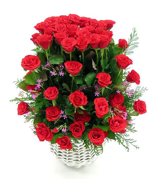 [OgAAAEkJDTGpWEyEaYTOovRrCG8e3TrlZt5IOPx0E0gJ7_IisdS5wJfoI6Taf6wgYkCsgw_xIH2qgIwavrh773LElVEAm1T1UJXvLIWv-z2RU3JOC15ClObVcZKQ.jpg]