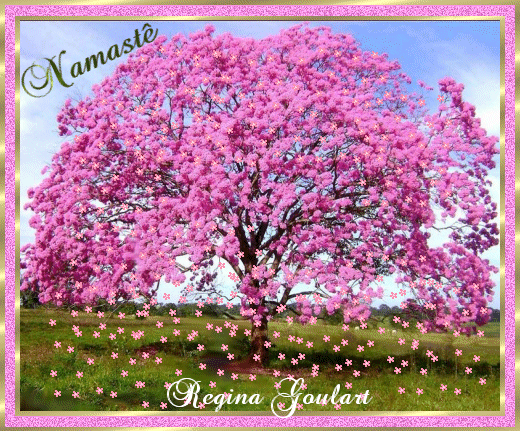 [ReginaNamastflorrosa17.gif]