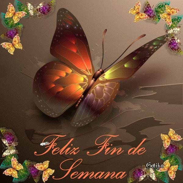 [felizfindesemana2cb0.gif]