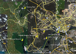 birds etc count quite schools should number