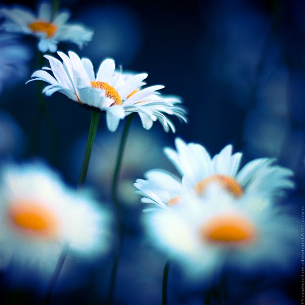 [a6e3747d55fe4fef3fa26736c175da69.jpg]