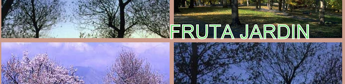 FRUTA JARDIN