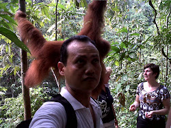 Jungle Trekking with Orang Utan in Bukit Lawang