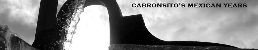 Cabronsito Regenzeit In Mexiko Temporada De Lluvias Oder Estaci n 