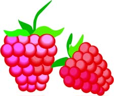 Raspberries 3