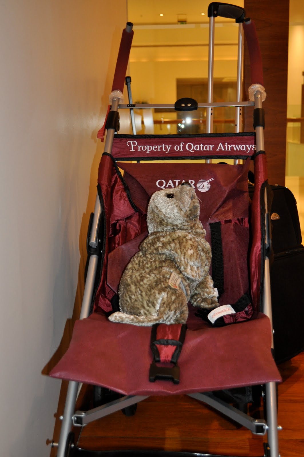 Gina and Michael Qatar Airways...Business Class Baby!