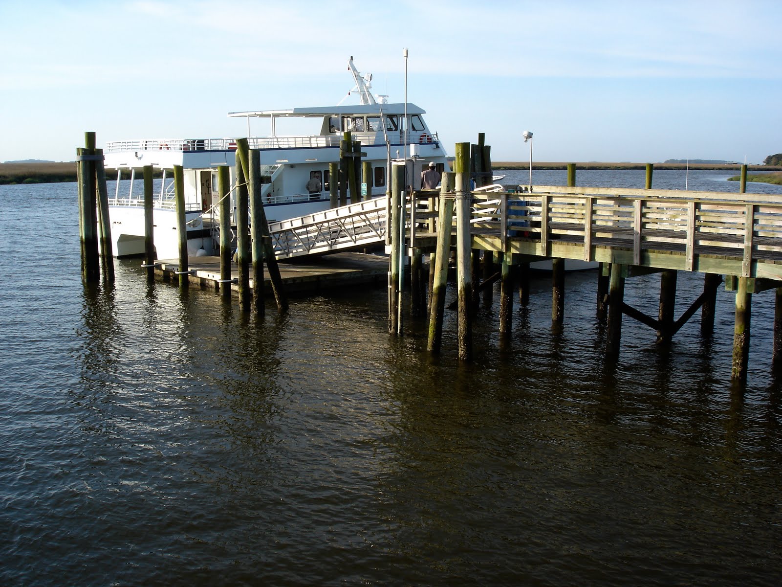 Metamorphosis Sapelo Island