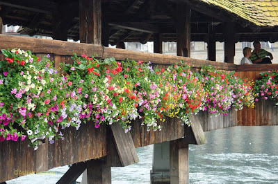 Close up of flowers on the outer railing of the wooden Chapel Bridge in Lucerne