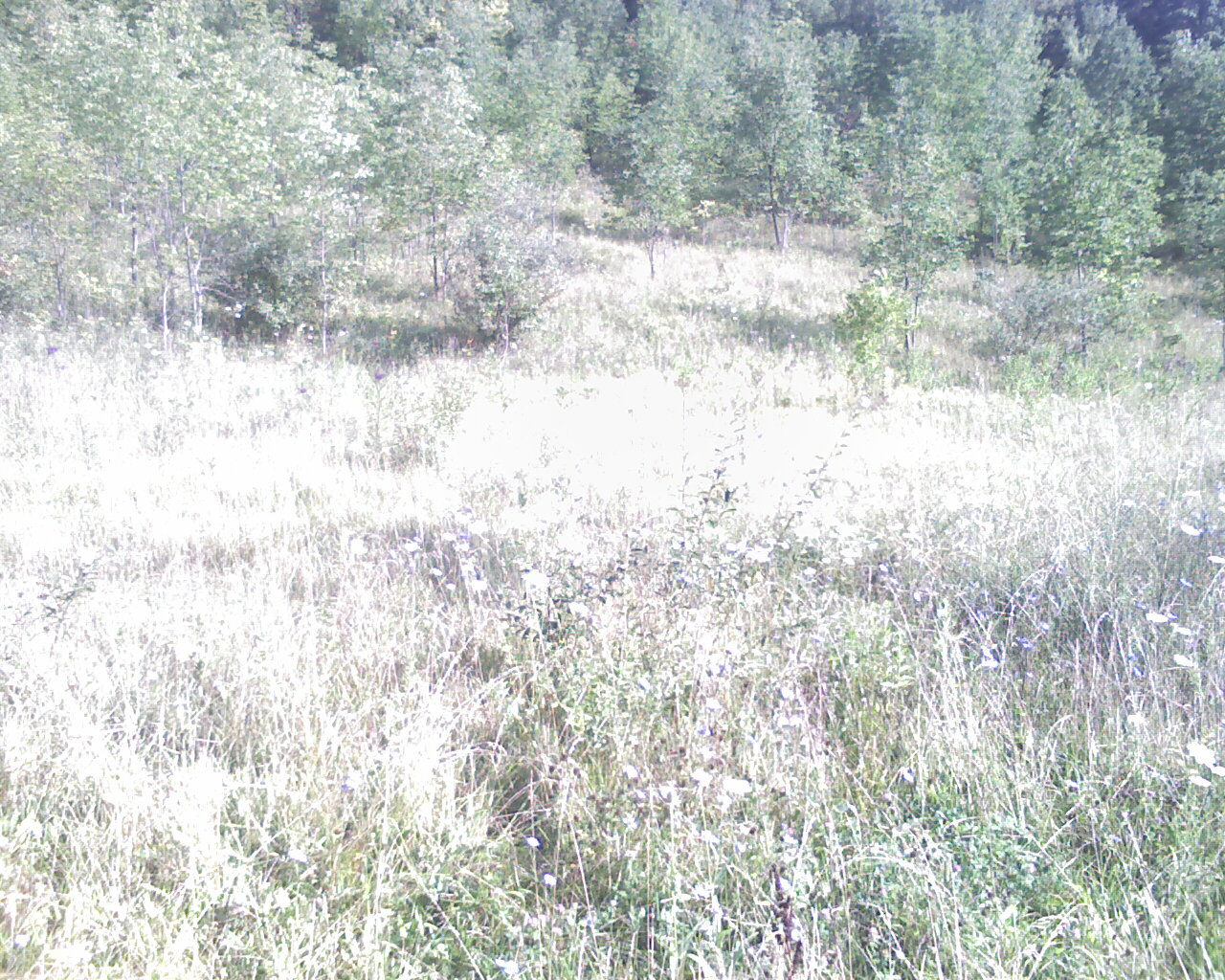 [IMAGE_070-744122.jpg]