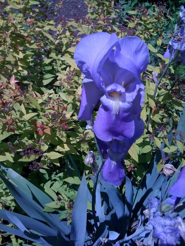 [photo-714780.jpg]