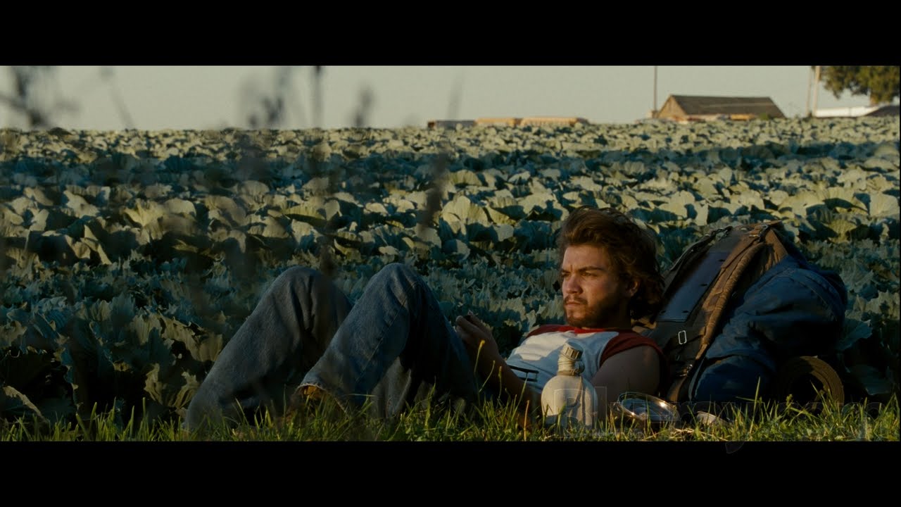 thoughts on freedom: into the wild