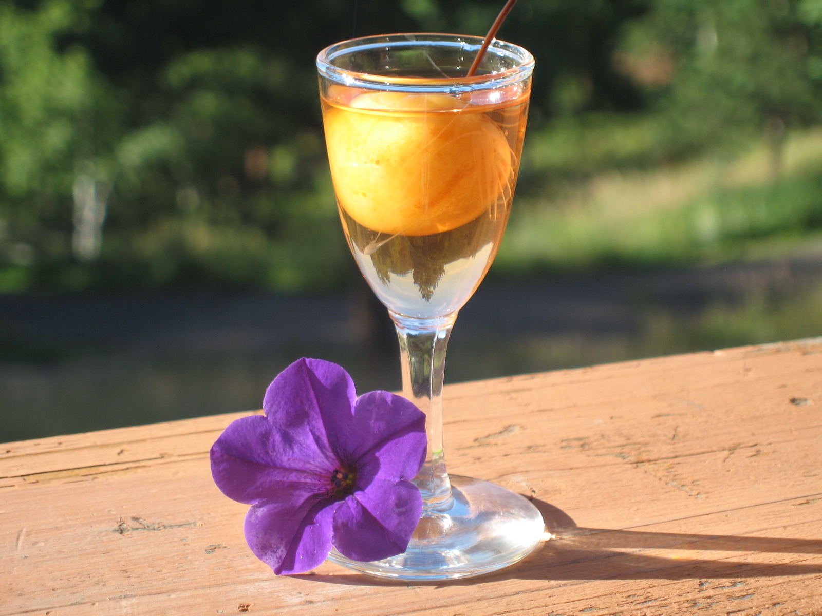 At Home with Rebecka: Infused Liquors: A Beautiful Apertif