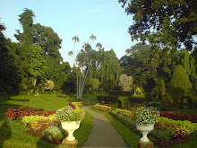 peradeniya garden