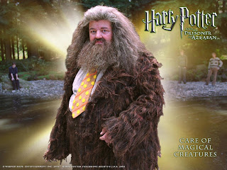 profeta rita skeeter draco e hagrid