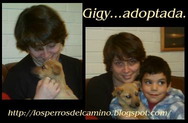 [gigiadopta.JPG]