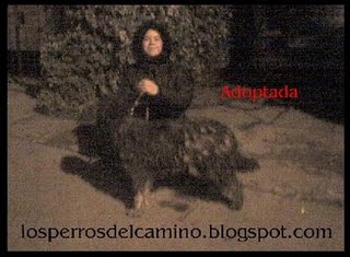 [franc.JPG]