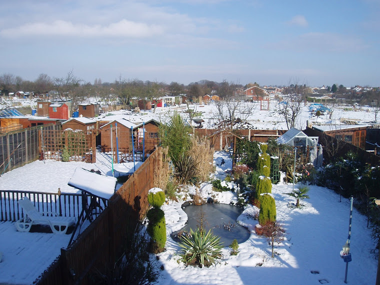 Snow in Feb.09