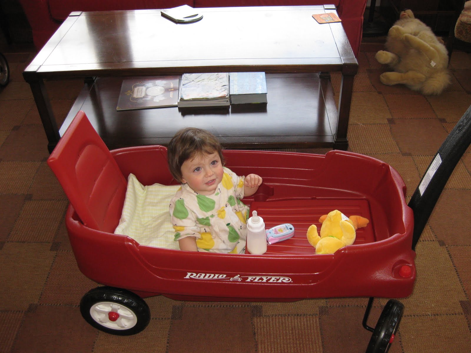 Janie's Zoo, Emma & Lily, too Fun new wagon