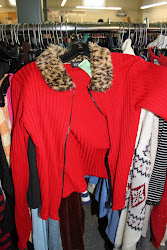 Red Sweater and Leopard Collar