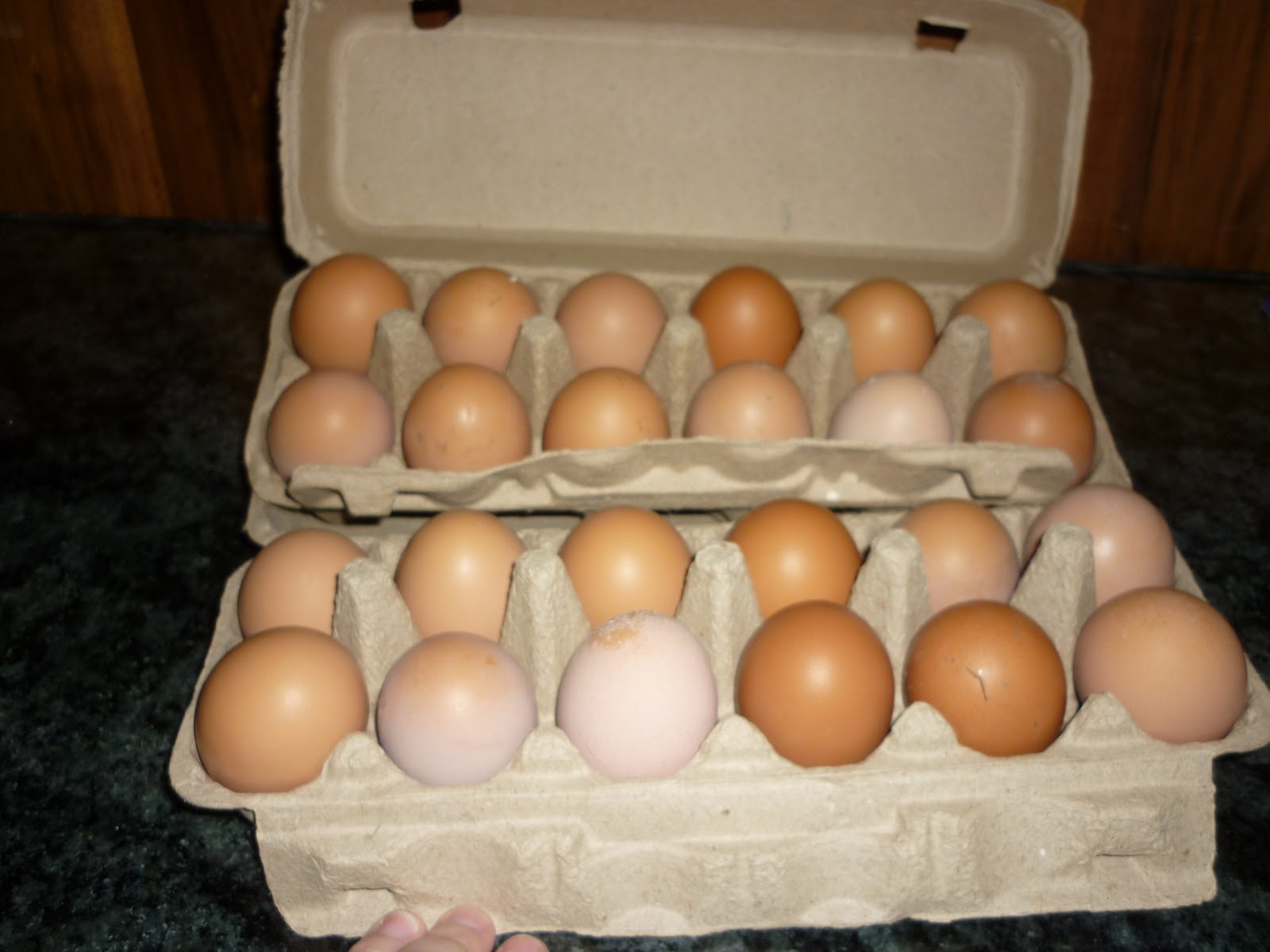 earthmama Eggs for sale