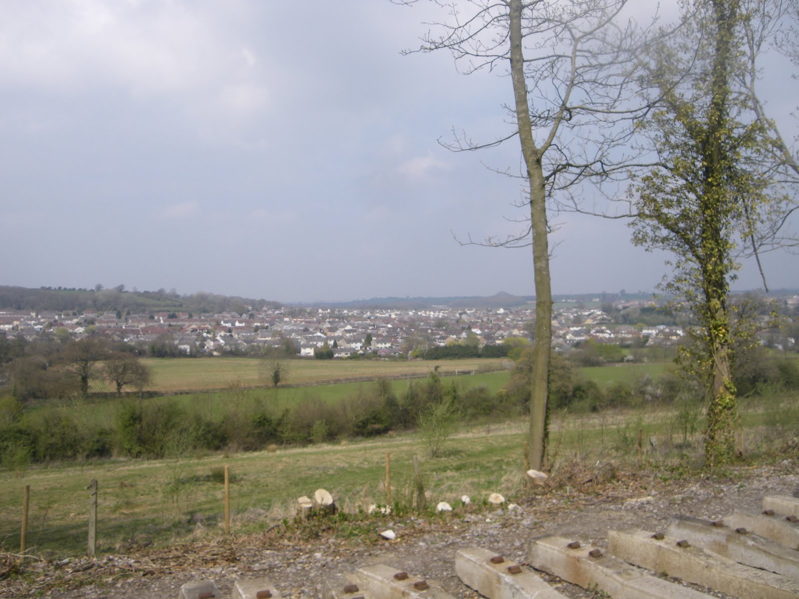 Rail Thing - Friends of the S&D: the chilcompton extension