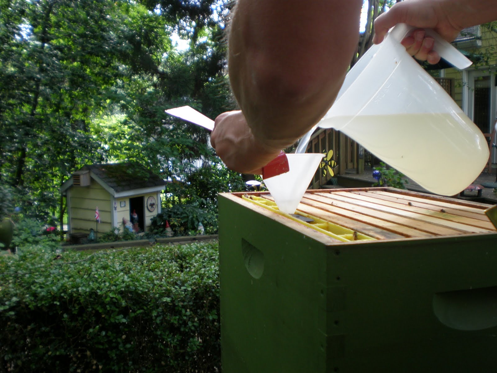 Bee Surprised 3qt Deep Division Board Feeder Experience