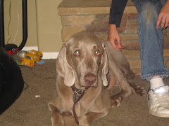 Buddy & Grace R.I.P.