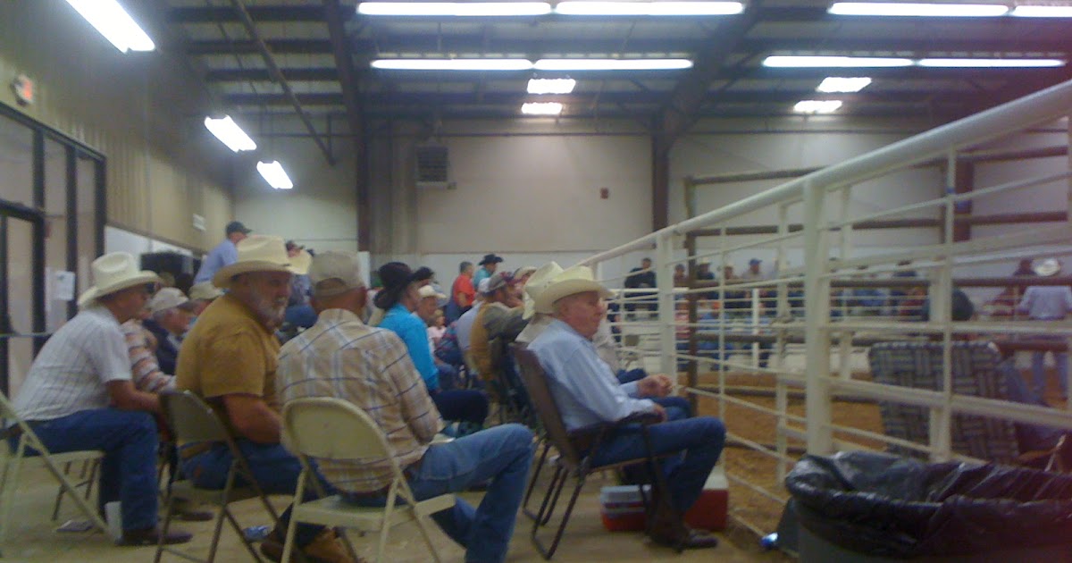 Mules and More - Editor's Blog: Ada, Okla. Mule Sale